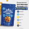 Three Amigos Corn Nuts Suger Free, 100% Vagan, Peanut Free