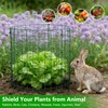 6 Pack Plant Protector, 12x14 Inch Metal Garden Cages for