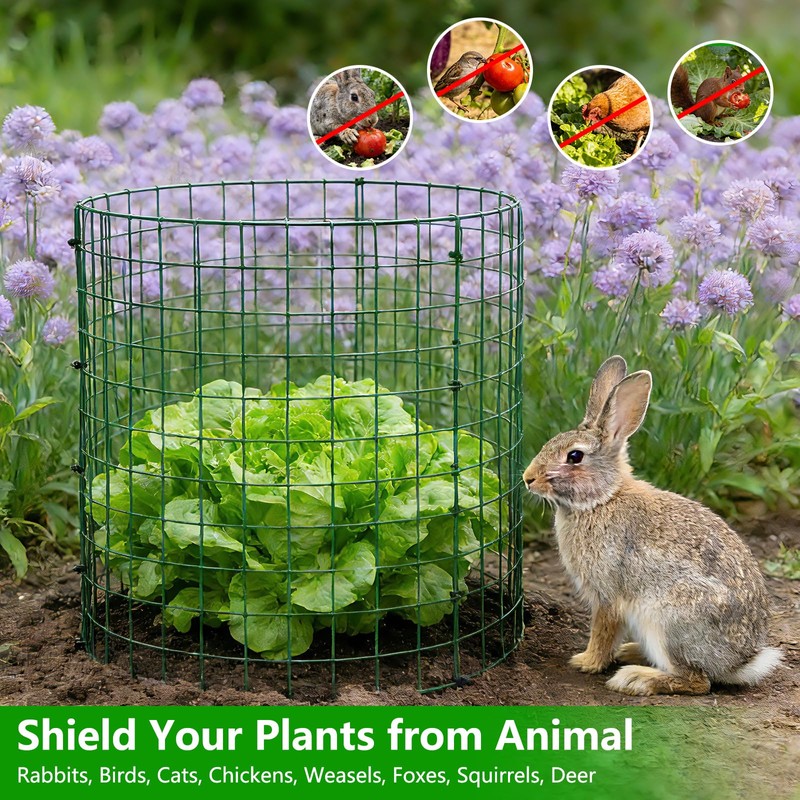 6 Pack Plant Protector, 12x14 Inch Metal Garden Cages for