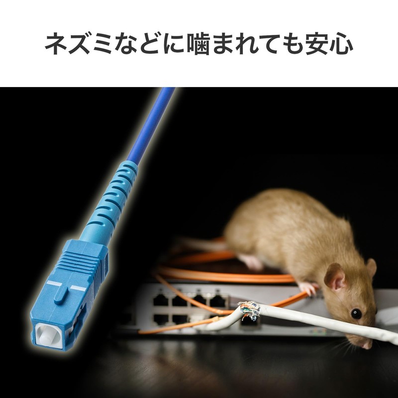 Sanwa Supply HKB-AM1SCSC1-05 Armored 1-Core Fiber Optic Cable (Single Mode,