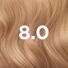 Garnier Good Permanent Hair Dye Replen Kit, 8.0 Honey Blonde,