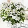 2g Proven Winners Hydrangea Fairytrail Bride Shrub