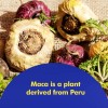 Santo Remedio Maca 750 Mg Suplemento Energía 90 Cápsulas
