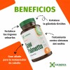 Kit 3 Frascos Saw Palmetto 60 Cápsulas De 500mg Sin
