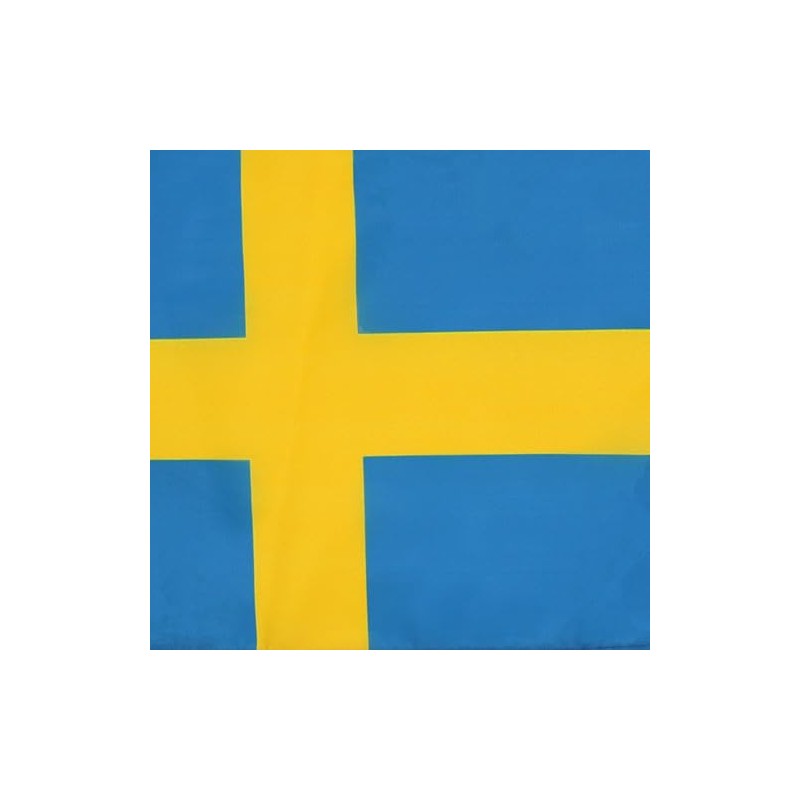 AZ FLAG Sweden Flag 18'' x 12'' cords - Swedish