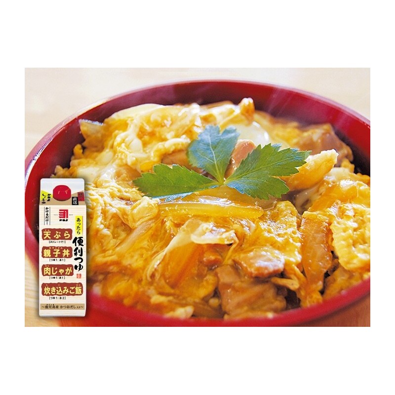 Kaneyo Tsuyu Handy Japanese Shoyu All-Purpose Soup Base Soy Sauce