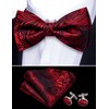 Barry.Wang Paisley Floral Bow Ties for Men Pre Tied Bowtie