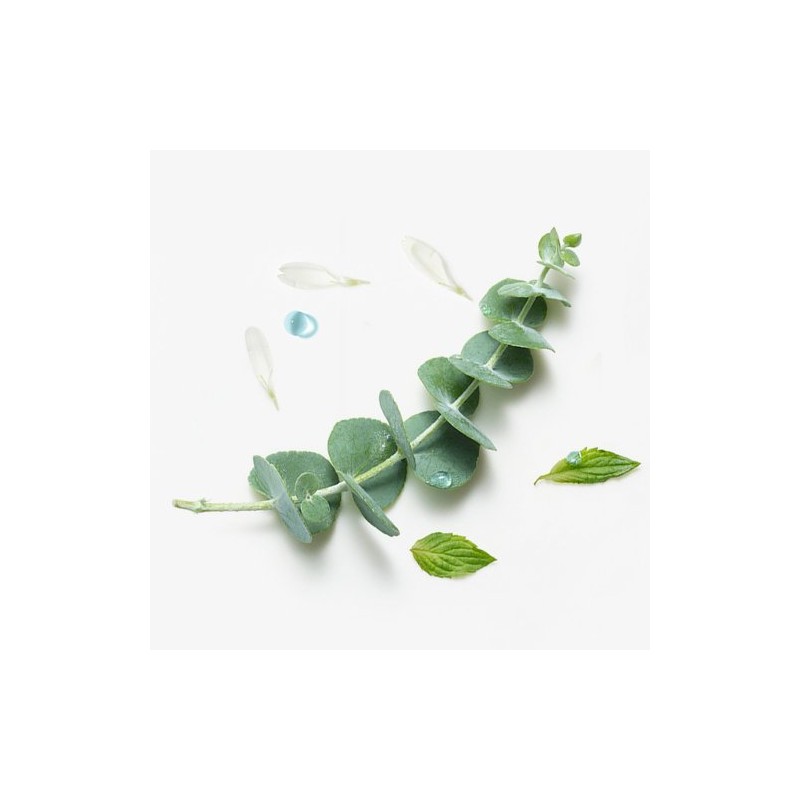 Rene Furterer [Rene Furterer] Astera Head Spa Scalp Soothing Serum