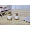 T4U Succulent Planters, Pots with Bamboo Saucers, Rectangular Ceramic Cactus