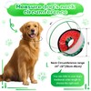 CNEO Inflatable Dog Cone Collar with Detachable Enhanced Anti-Licking Shield,