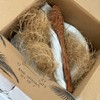 Vie Gourmet Premium Sealed Coconut Bowls and Spoons, Set of