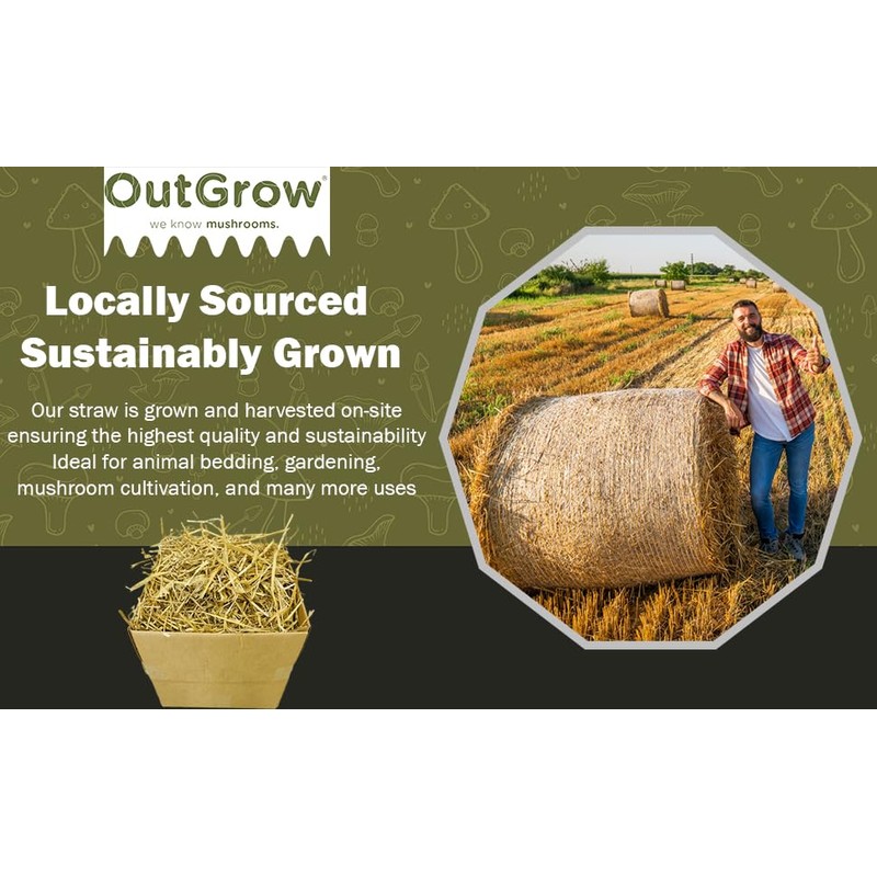 1 Cubic Foot of 100% All Natural Wheat Straw (4lbs)