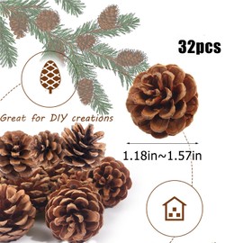 Natural Pine Cones, Pack of 32 Mini Christmas Pine Cones, 3-4 cm, Decoration, Pine Cones, Suitable for DIY Christmas Trees, Resin Crafts and Home Decoration