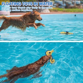 BINGPET Dog Water Toys Floating Toys,2 Pack Squeaky Dog Toys,Tough Interactive Dog Toys with Durable Oxford Fabric Summer Pool Outdoor,Seahorse Shaped Cute Dog Chew Toys for Small Medium Large Dogs