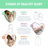 SwaddleMe by Ingenuity Original Swaddle, 100% Cotton, Improves Sleep &