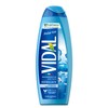 Vidal Unisex Adult Shower Gels