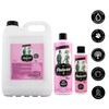 Petuxe Shampoo for Pets, Colour Enhancement, Vegan, Dog and Cat,