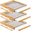 DoubleFill 3 Pcs 10 Frame Beehive Screened Bottom Board Dipped