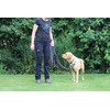Activity4Dogs Non-Slip Nylon Dog Lead, Non-Slip, 2.80 m Long, 4-Way