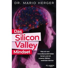 Das Silicon-Valley-Mindset: Was wir vom Innovationsweltmeister lernen und mit unseren Stärken verbinden können