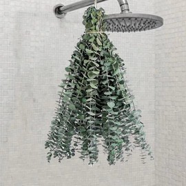 Dried Eucalyptus Stems for Shower, 17 Inch 100% Natural Fresh Eucalyptus Leaves Branches for Wedding Home Decor (10)