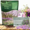 Outsidepride Dame's Rocket Flower Seeds - 5000 Pcs Perennial, Easy