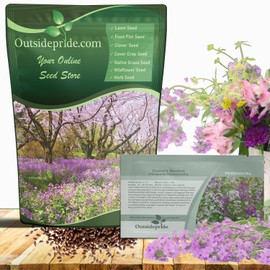 Outsidepride Dame's Rocket Flower Seeds - 5000 Pcs Perennial, Easy to Grow, Deer Resistant & Self-Seeding Wildflower Seeds for Planting Vibrant and Fragrant Blooms in Pollinator & Butterfly Gardens