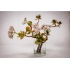 WGV Cylinder Vase Bulk, Diameter 5", Height 6", Clear Glass