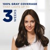 Clairol Root Touch Up, 4 Dark Brown, Permanent Colour, 100%