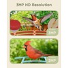 Hiseeu Bird Feeder with Camera, 2.5L Large Capacity, AI Identify