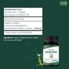 ORGANIC SPREE HADJOD - CISSUS 120 Tablets | Cissus Quadrangularis