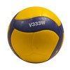 Mikasa Volleyball V333W School Pro