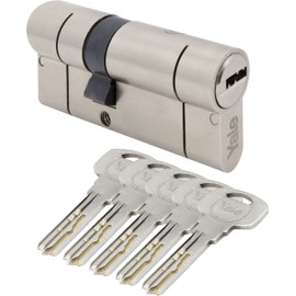 Yale 10-2100-3035-D5-1201 Inlay 2100 30/35 mm Satynowy, 30/35