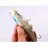 DAIWA Moissanite Sail Upper 165F Lure, Connoshiro