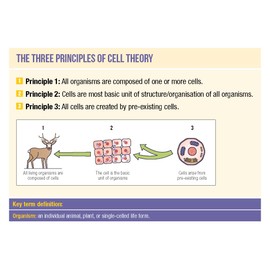 NCFE T Level Health Revision Question Cards for Core Component B1: Science Concepts: for 2025 and 2026 exams (tutor2u T Level Health NCFE)
