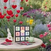 Alice’s Adventures in Wonderland, Assorted Tea Variety Pack, Includes 36