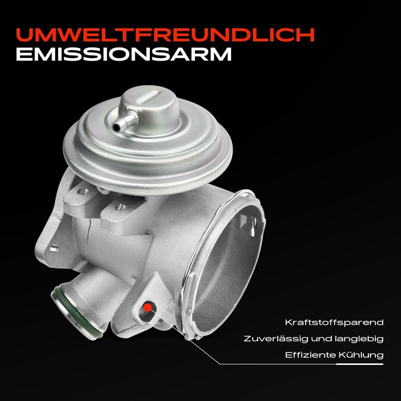 Frankberg AGR-Ventil für C-Klasse W203 C-Klasse T-Model S203 C200 C220