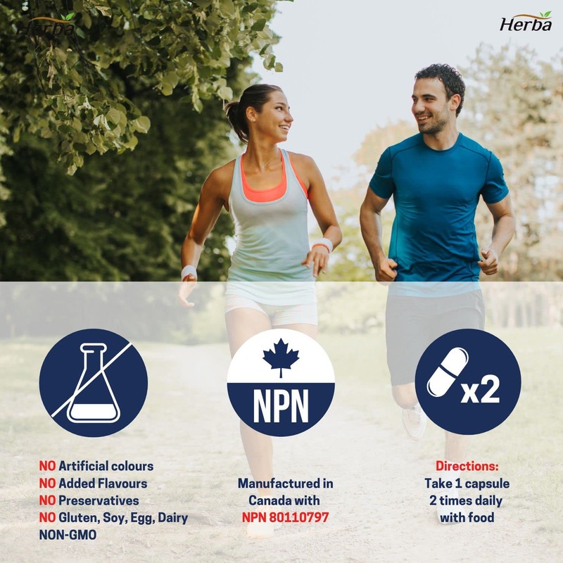 Herba Herba Lung Supplement with Mullein Leaf Extract for Lung