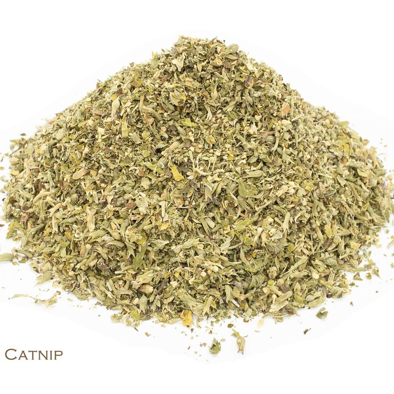 Catnip and Green Tea Herbal Infusion (Gyokuro - 25 Unbleached