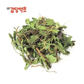 Gabdang Herb 갑당약초 국내산 곰보배추 300g (배암차즈기설견초) X 1팩 구성 Gapdang Medicinal Herbs Domestic Gombo Baechu 300g (Baem Chajugi Seolgyeoncho) X 1 Pack Set