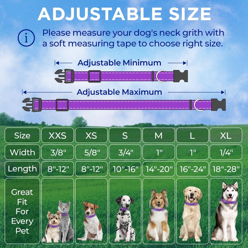 TECEUM Reflective Dog Collar – Purple – M – Extra