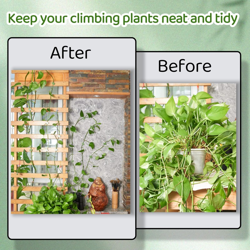 CIQIYO 30/60/100PCS Plant Climbing Wall Fixture Clips,Invisible Wall Plant Vines