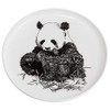 Maxwell & Williams DX0528 Giant Panda Plate - Black and