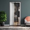 [Living Peace] Mosquito Goodbye Magnetic Door Screen (100x210cm) (Black)