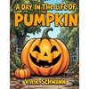 A Day In The Life of Pumpkin The Pumpkin