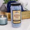 Village Naturals Therapy, Mineral Bath Soak, Aches & Pains Tension