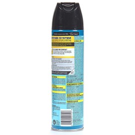 Raid Ant Killer Spray Pine Forest, 17.5 OZ (Pack - 1)