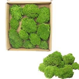 FAICOIA Preserved Pillow Moss Bulk Green Moss Balls for Bowls Natural Green Decorative 0.45 sq.ft Preserved Pole Moss Pillow for Wall Art Terrariums Crafts Fairy Gardens Pot Plants Easter Table Decor