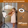 iZELL Desk Lamp, LED Reading Light with Clamp, 3 Color