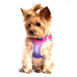 DOGGIE DESIGN Ultra Choke Free Step in Reflective Dog Harness American River Ombre Raspberry Sundae